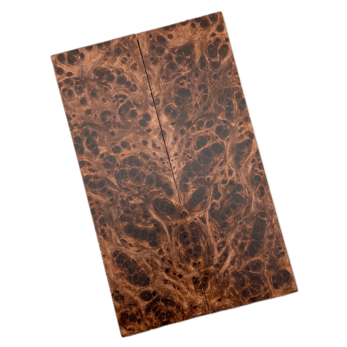 Redwood Burl Scales (K&G Stabilized) - REB63