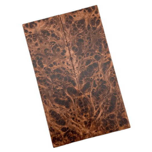 Redwood Burl Scales (K&G Stabilized) - REB63