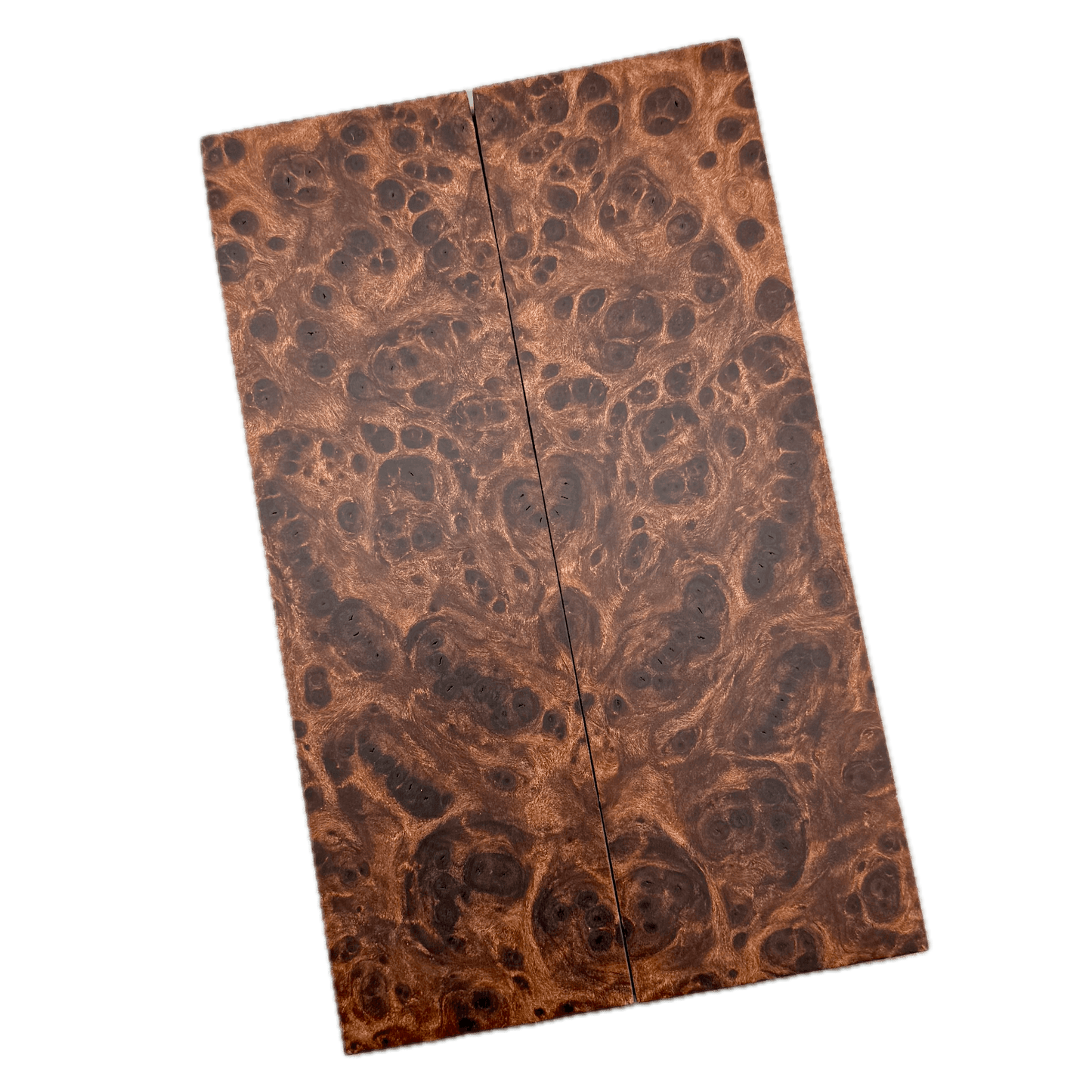 Redwood Burl Scales (K&G Stabilized) - REB65