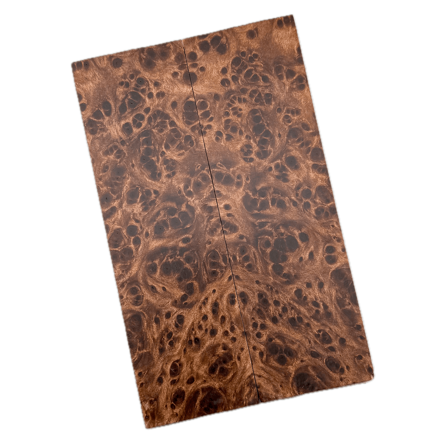 Redwood Burl Scales (K&G Stabilized) - REB66