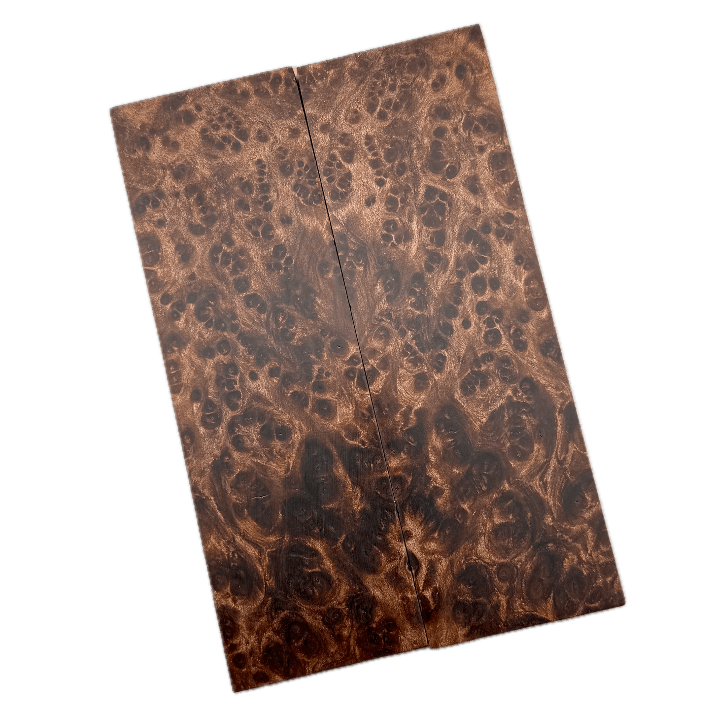 Redwood Burl Scales (K&G Stabilized) - REB67