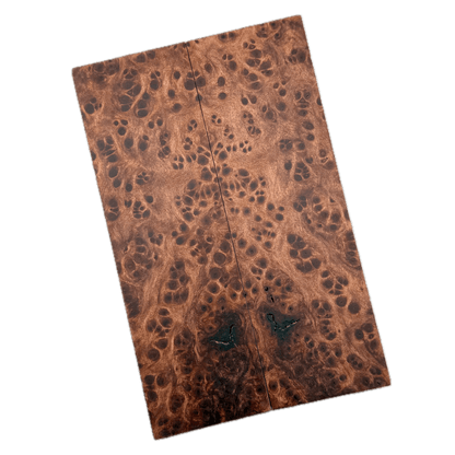 Redwood Burl Scales (K&G Stabilized) - REB68