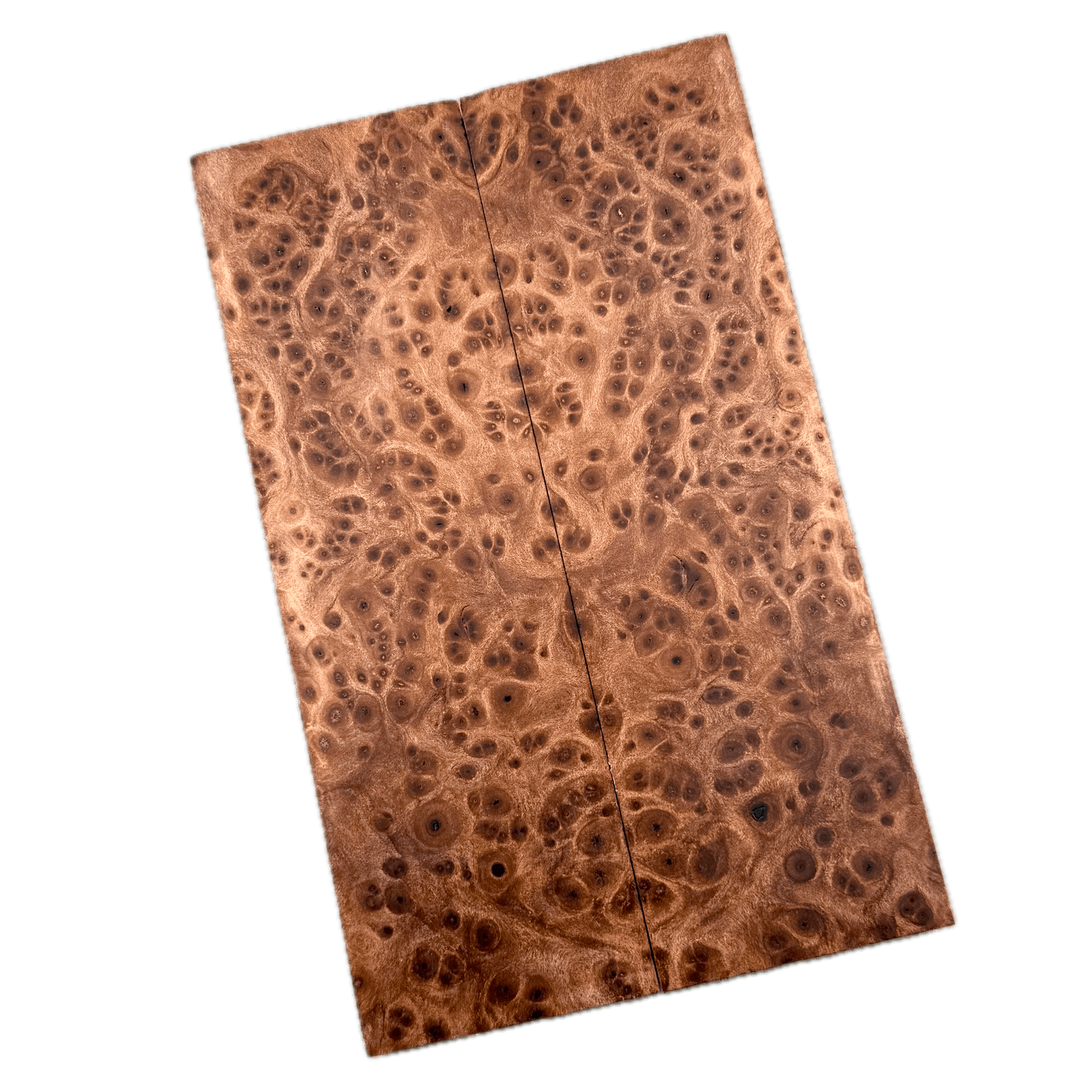 Redwood Burl Scales (K&G Stabilized) - REB69