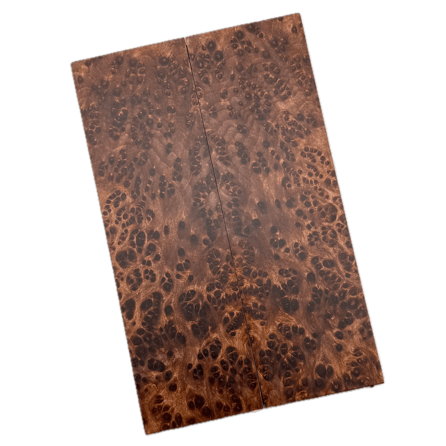 Redwood Burl Scales (K&G Stabilized) - REB71