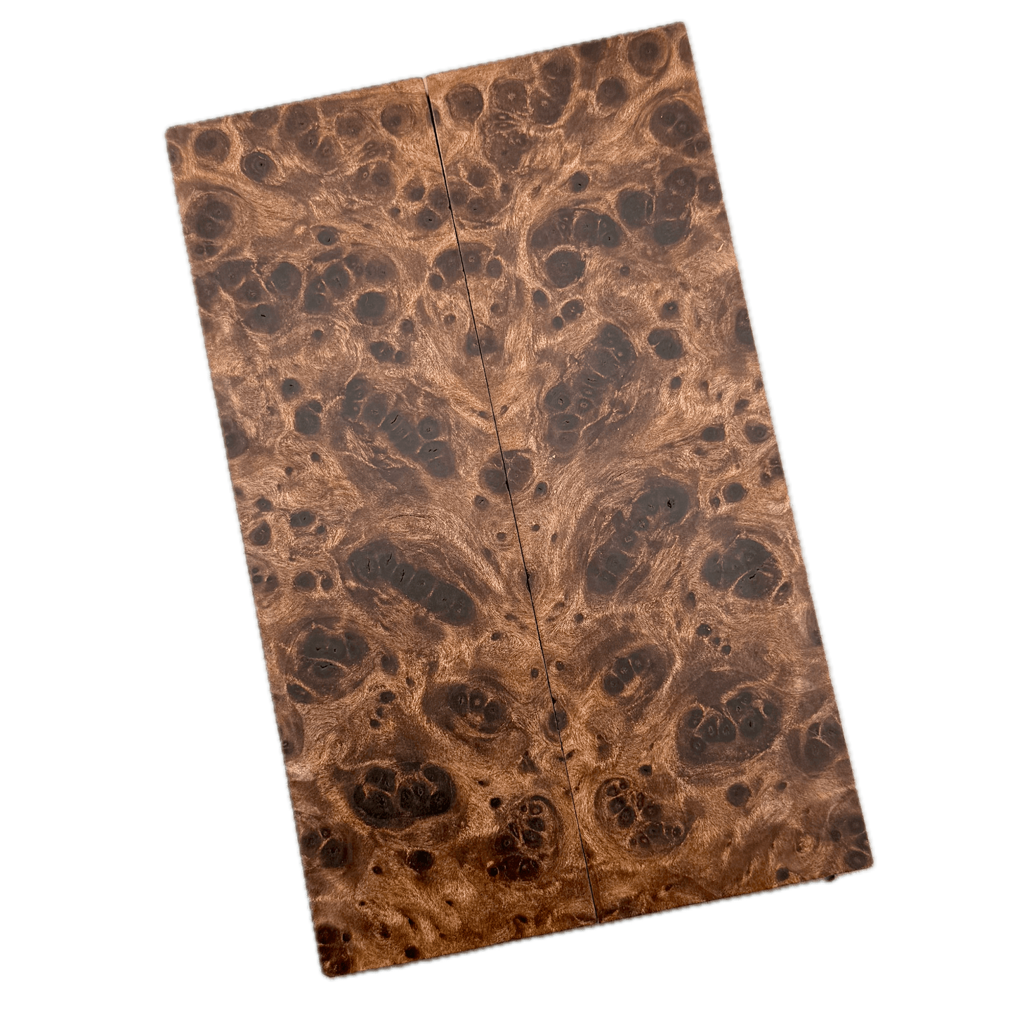 Redwood Burl Scales (K&G Stabilized) - REB72