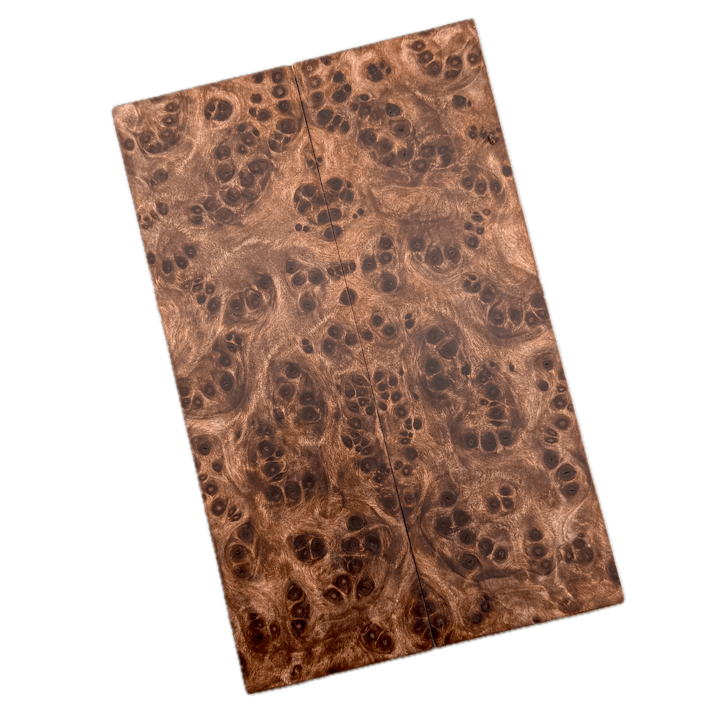 Redwood Burl Scales (K&G Stabilized) - REB73