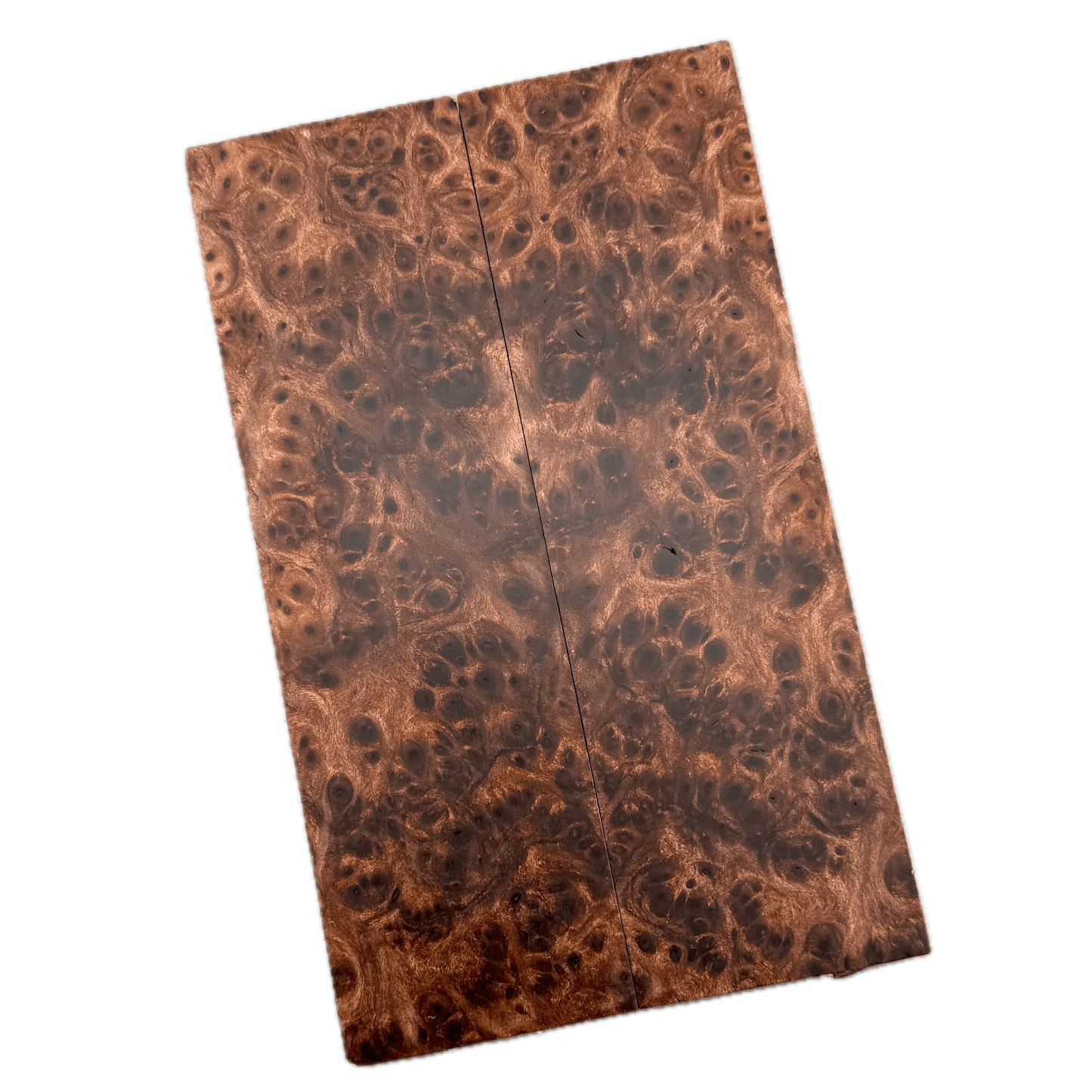 Redwood Burl Scales (K&G Stabilized) - REB74