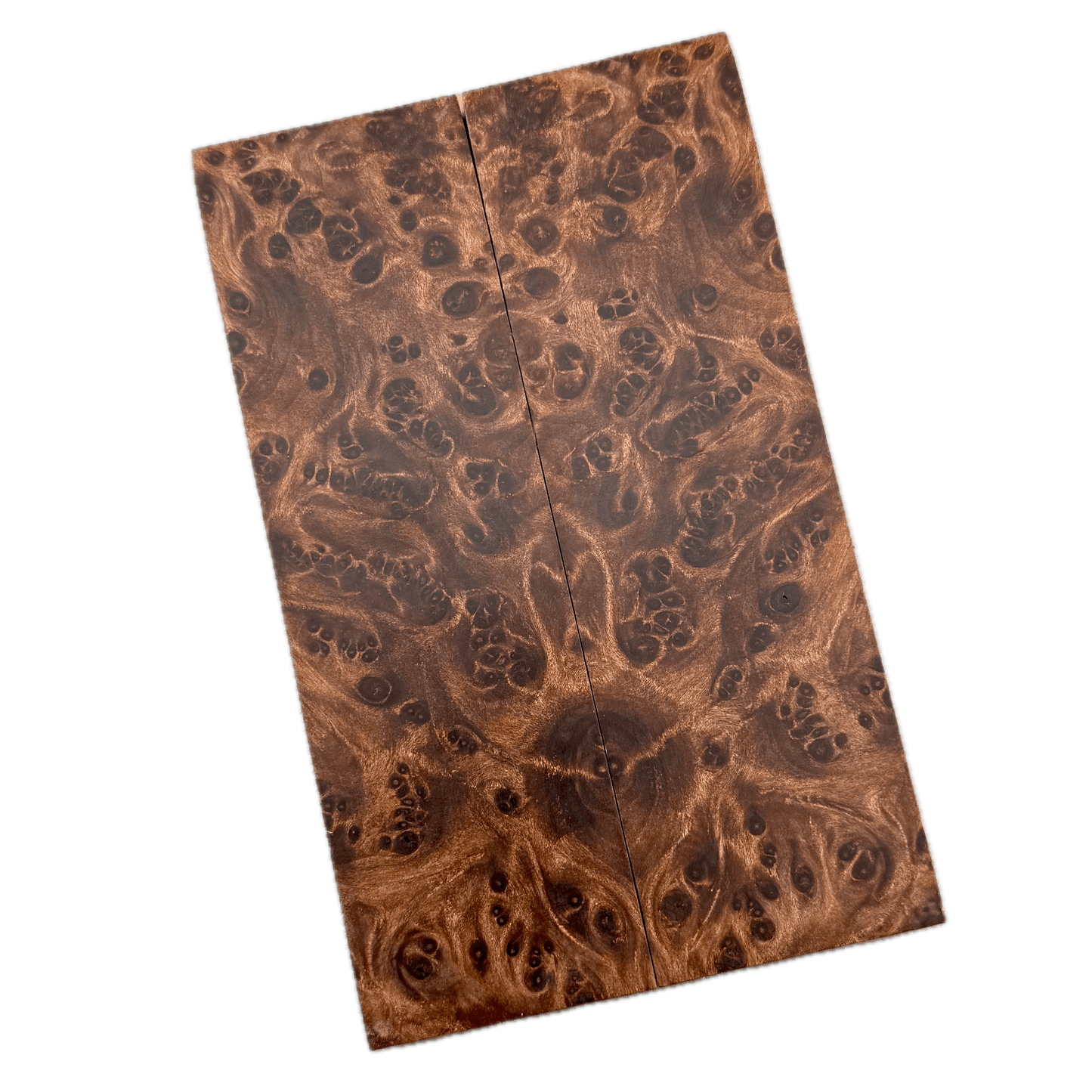 Redwood Burl Scales (K&G Stabilized) - REB76