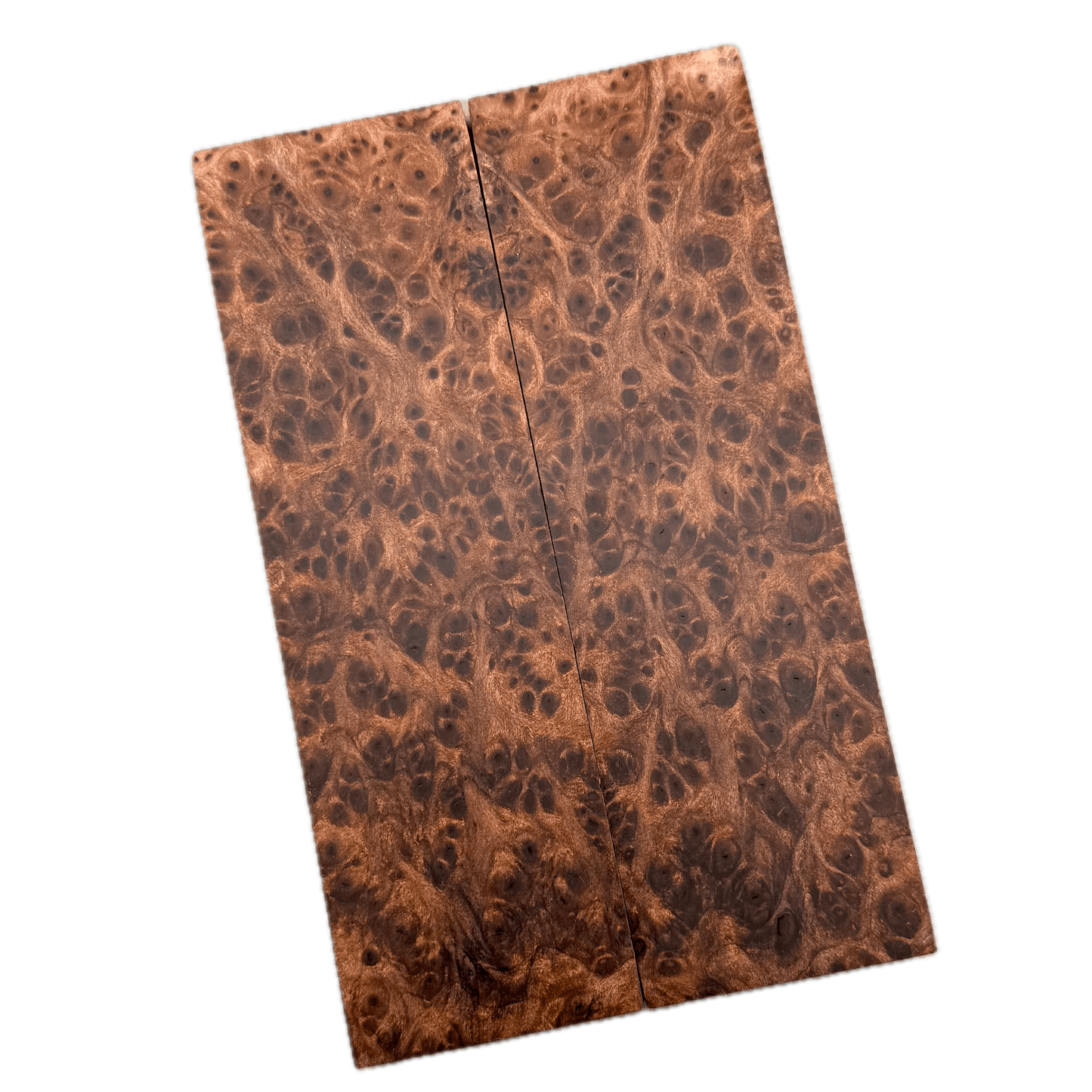 Redwood Burl Scales (K&G Stabilized) - REB77