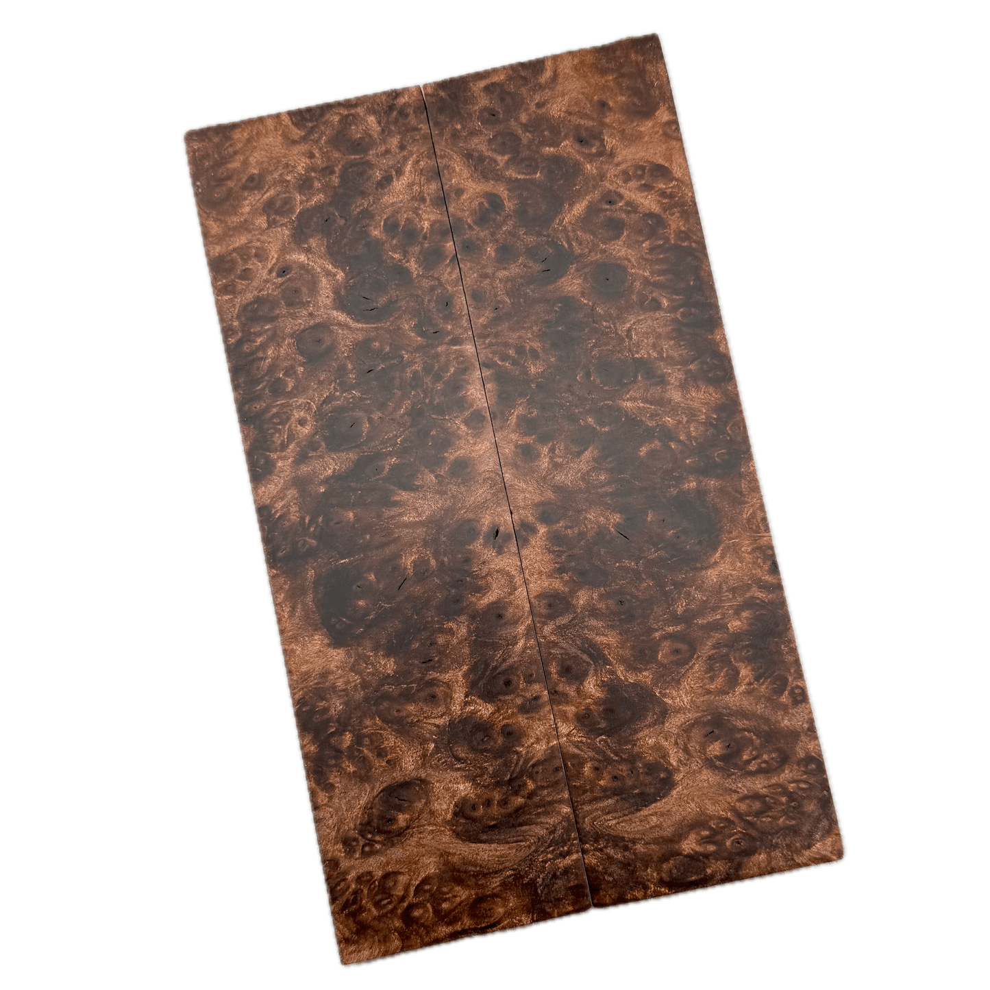 Redwood Burl Scales (K&G Stabilized) - REB80