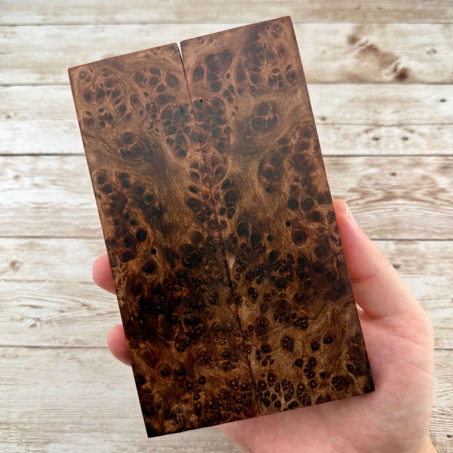 Redwood Burl Scales (K&G Stabilized) - REB57