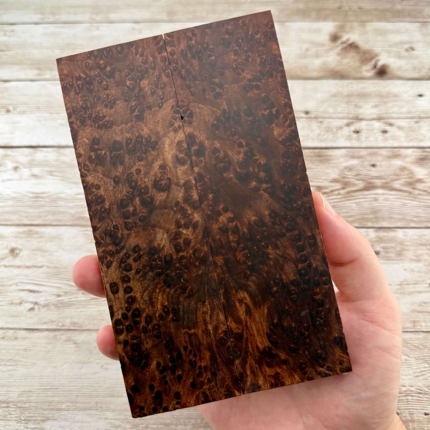 Redwood Burl Scales (K&G Stabilized) - REB59