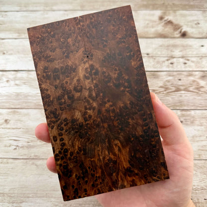 Redwood Burl Scales (K&G Stabilized) - REB59