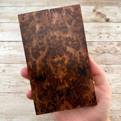 Redwood Burl Scales (K&G Stabilized) - REB60