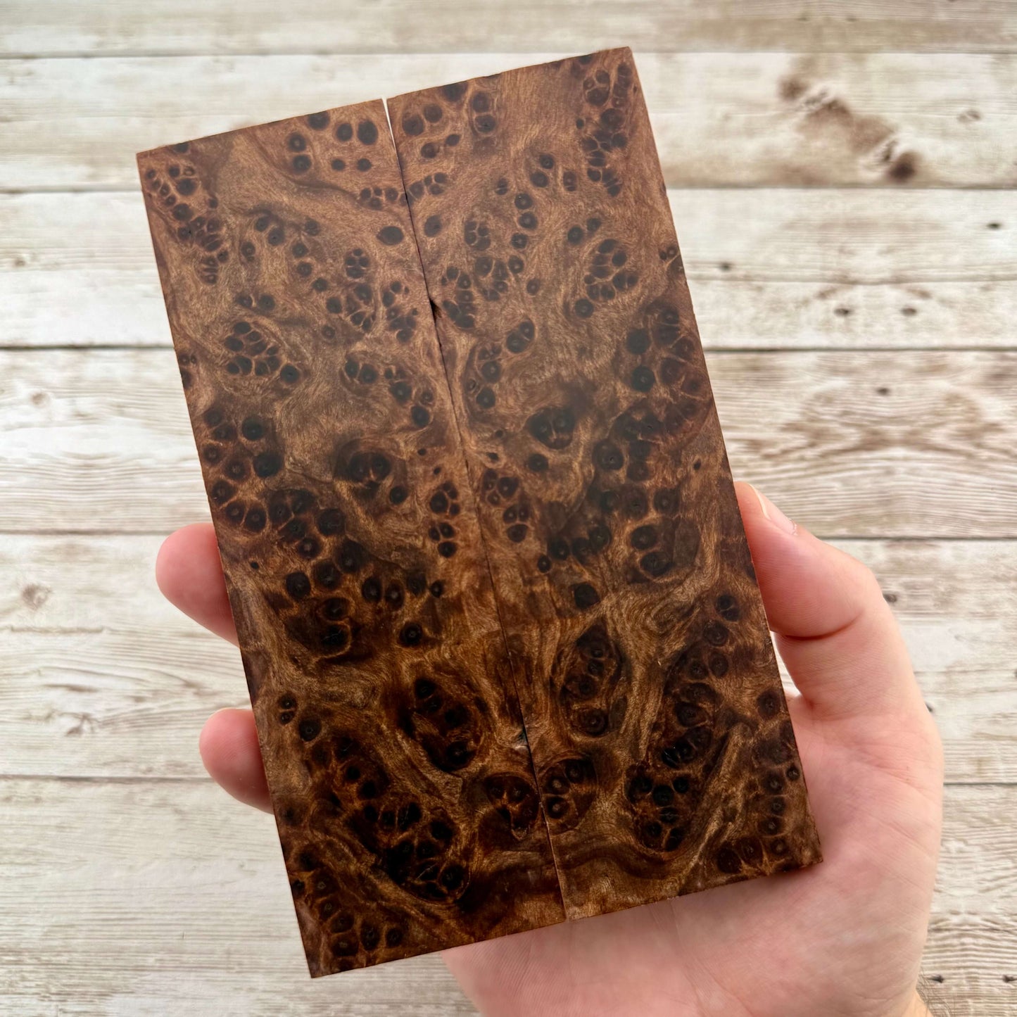 Redwood Burl Scales (K&G Stabilized) - REB61