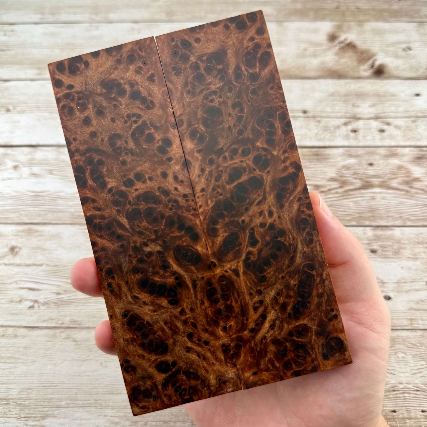 Redwood Burl Scales (K&G Stabilized) - REB63