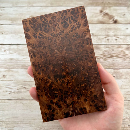 Redwood Burl Scales (K&G Stabilized) - REB64