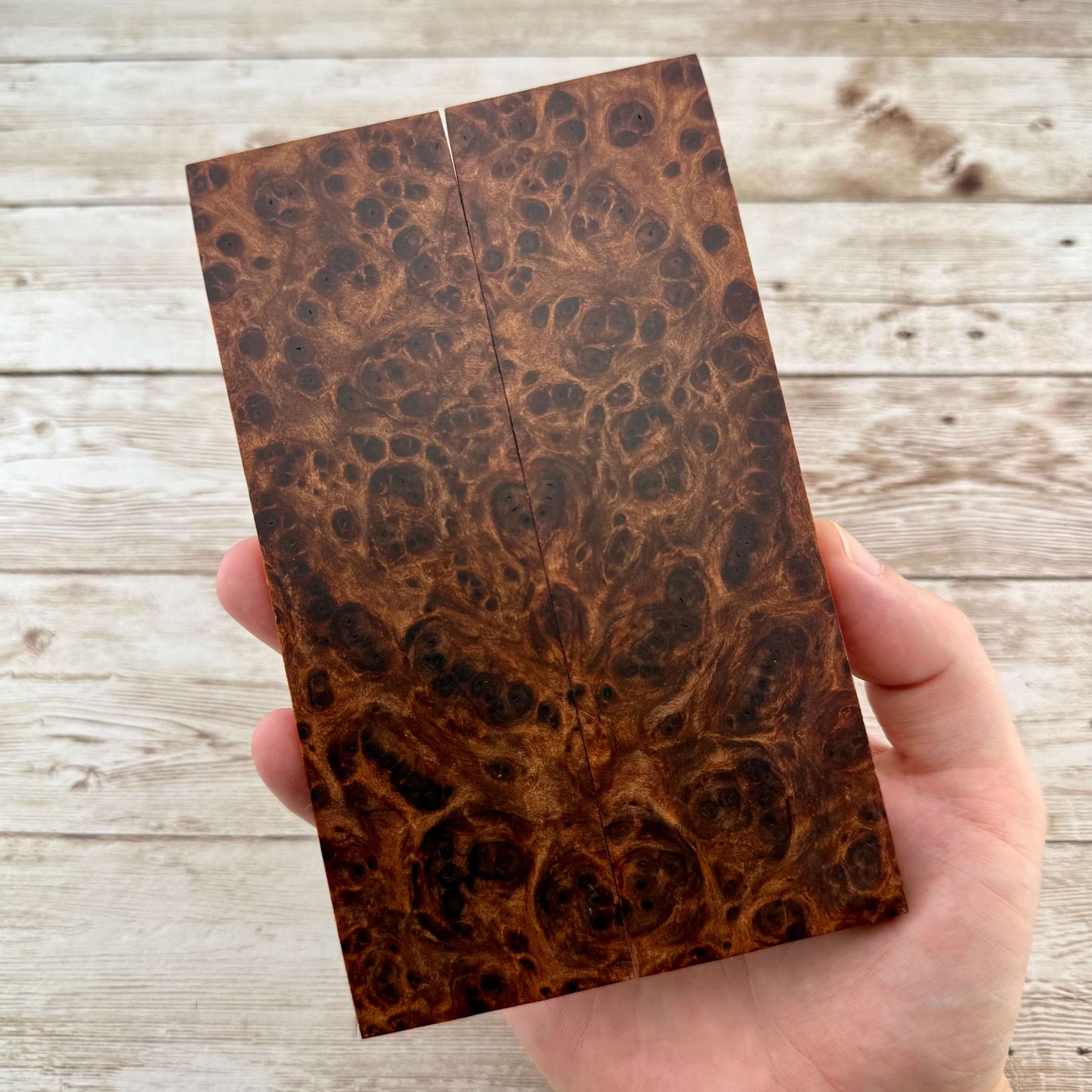 Redwood Burl Scales (K&G Stabilized) - REB65