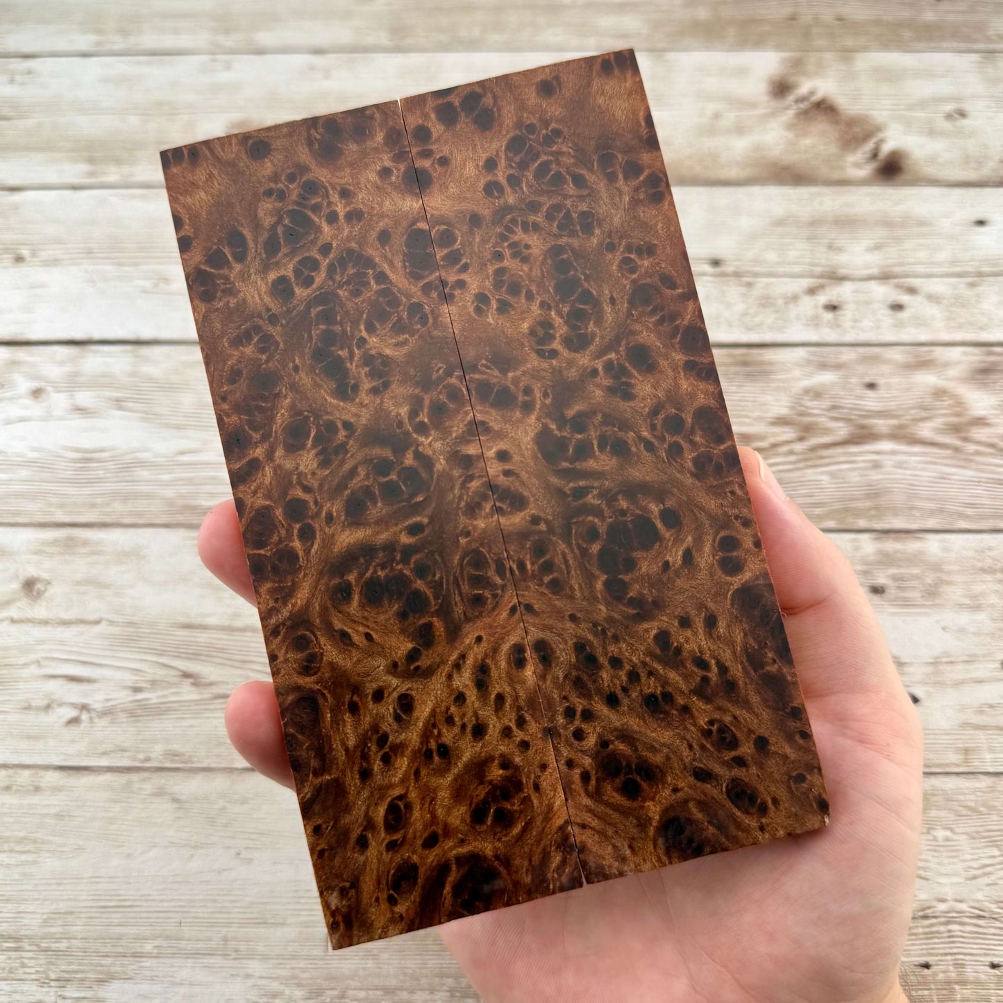 Redwood Burl Scales (K&G Stabilized) - REB66