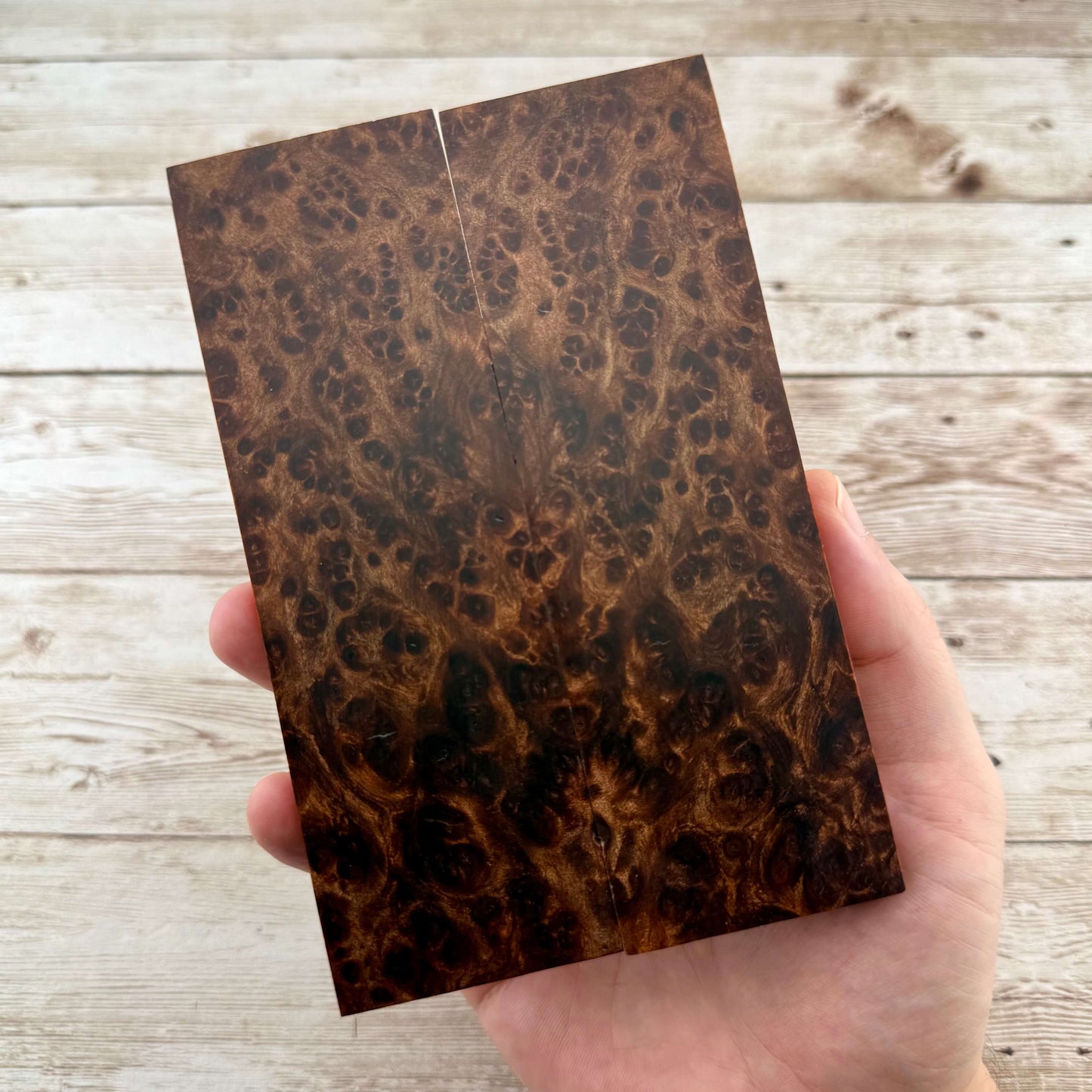 Redwood Burl Scales (K&G Stabilized) - REB67