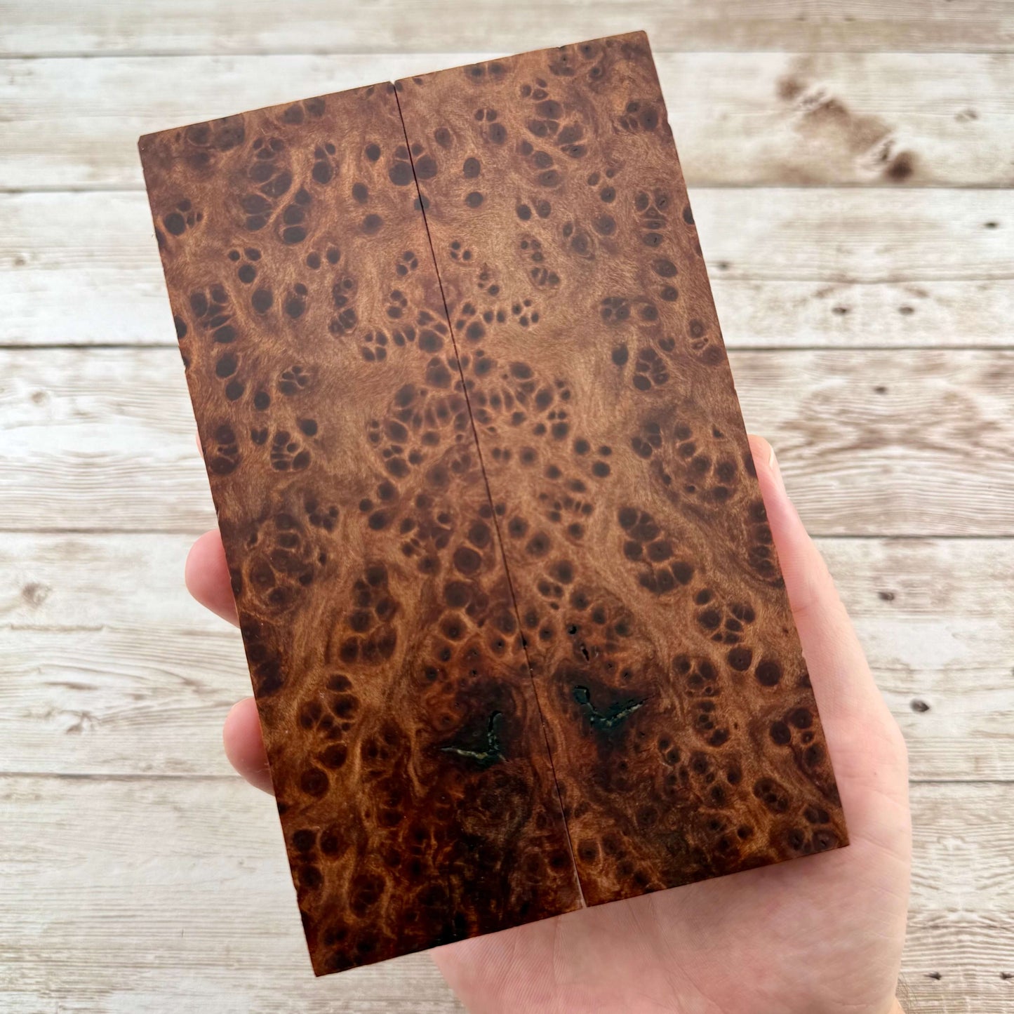 Redwood Burl Scales (K&G Stabilized) - REB68