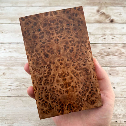 Redwood Burl Scales (K&G Stabilized) - REB69