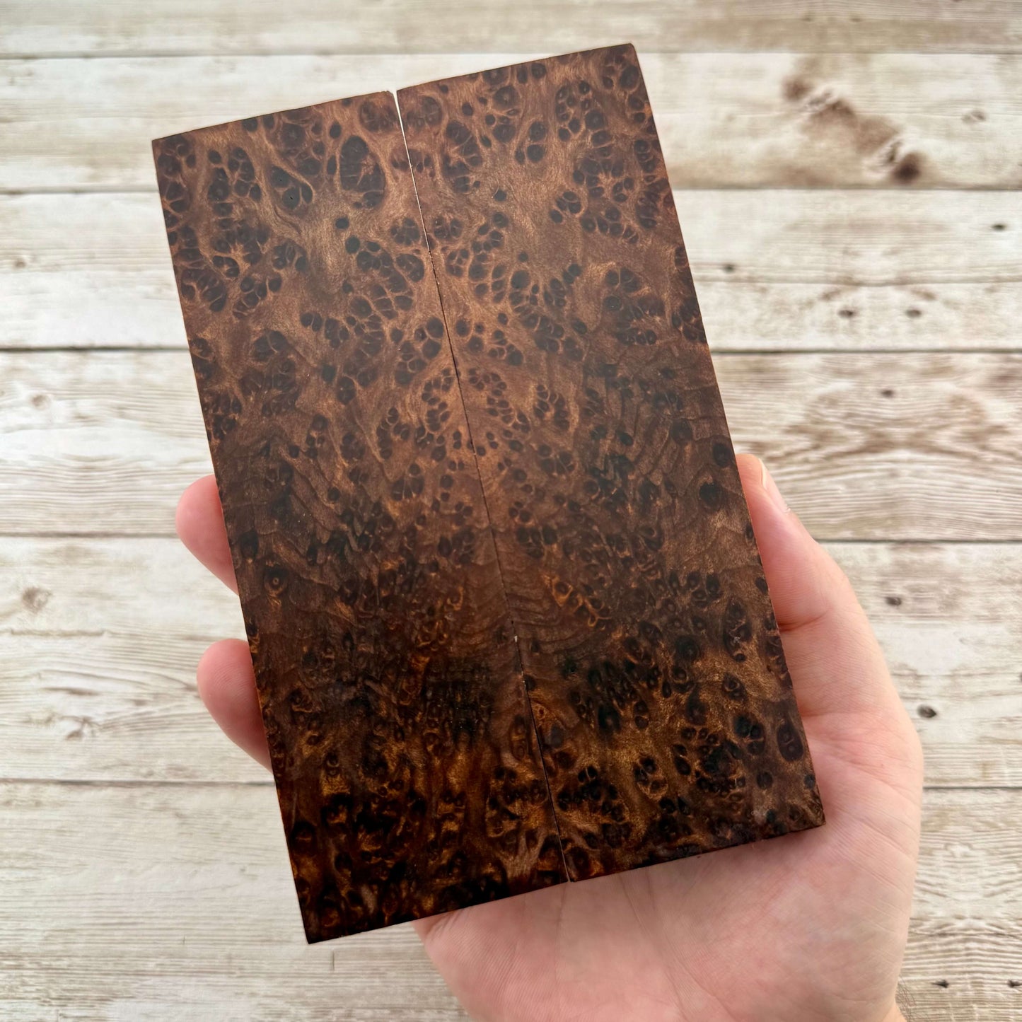 Redwood Burl Scales (K&G Stabilized) - REB70