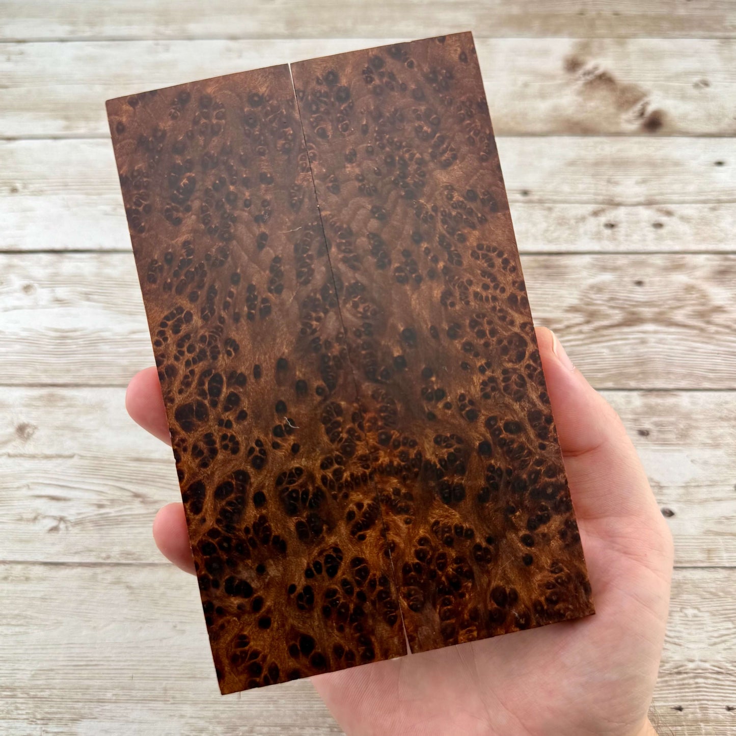 Redwood Burl Scales (K&G Stabilized) - REB71