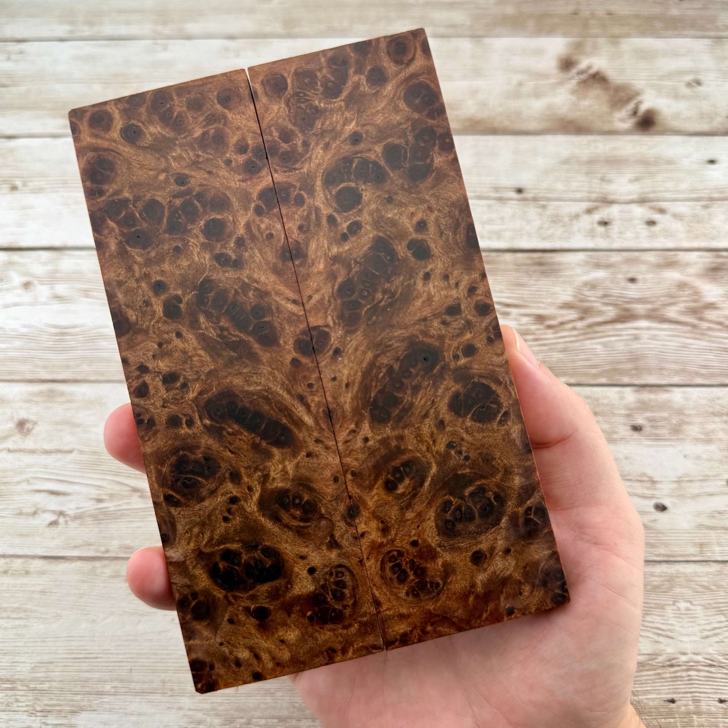 Redwood Burl Scales (K&G Stabilized) - REB72