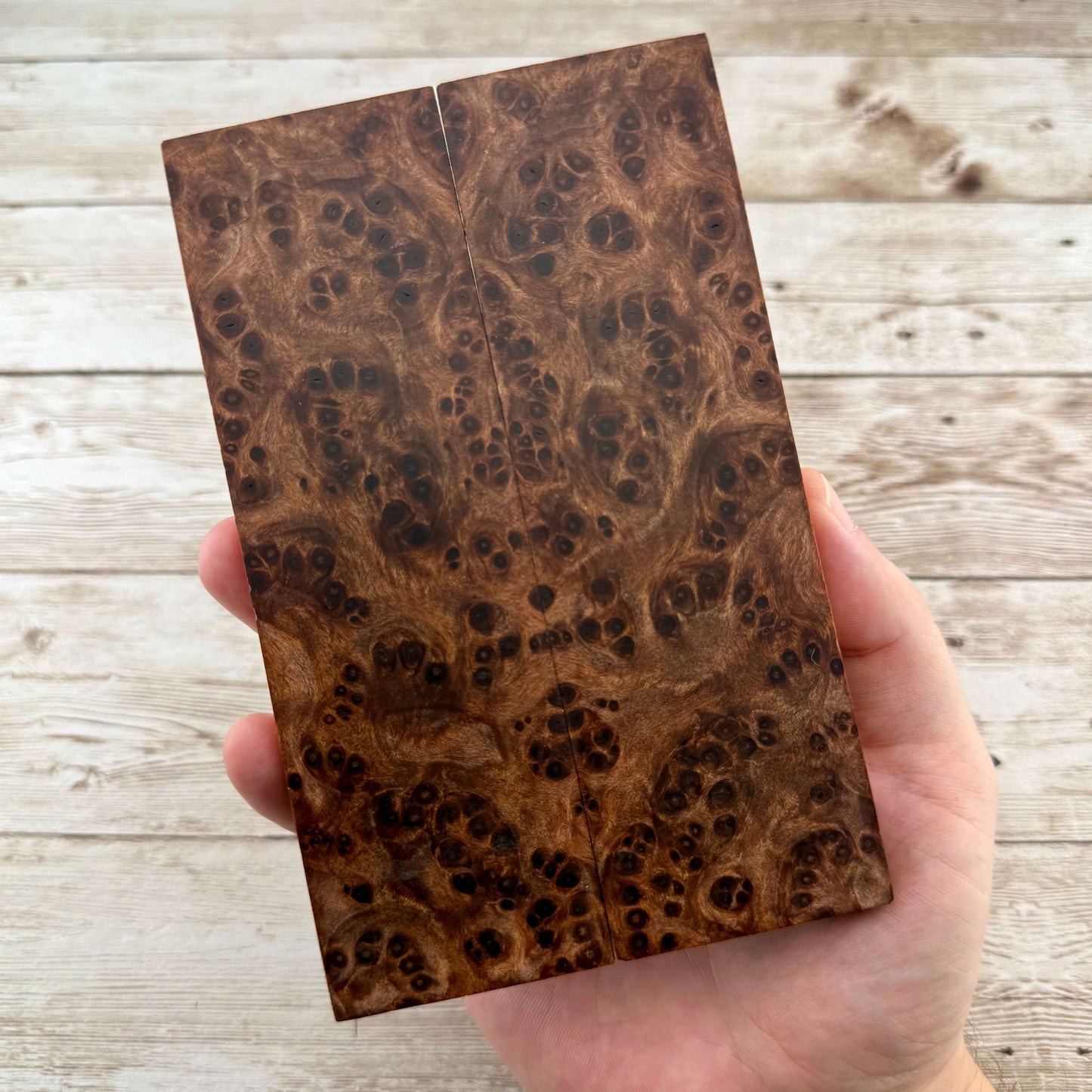 Redwood Burl Scales (K&G Stabilized) - REB73