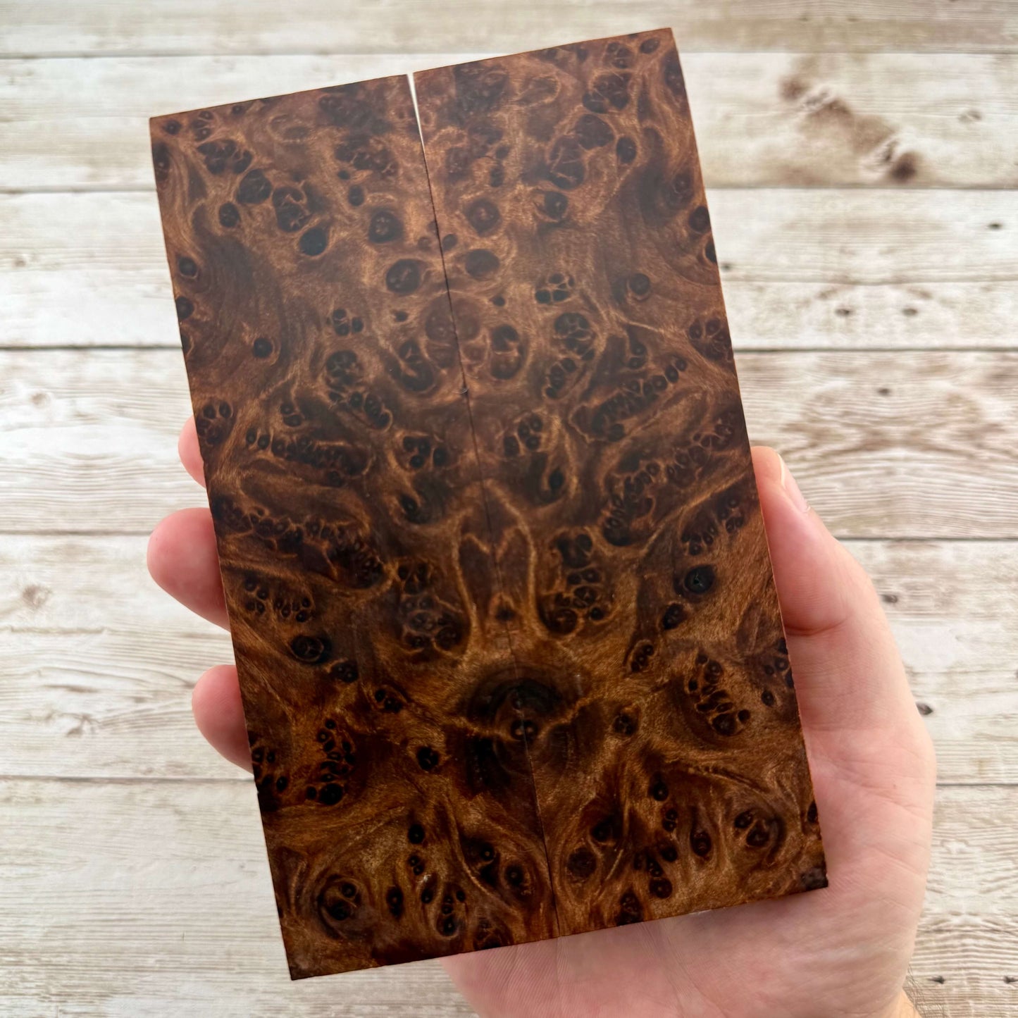 Redwood Burl Scales (K&G Stabilized) - REB76