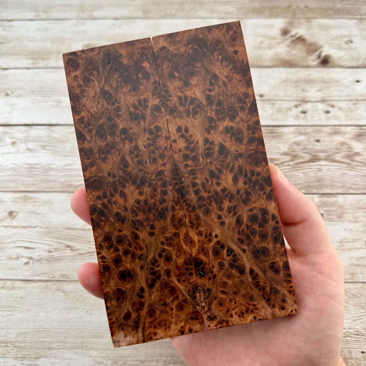 Redwood Burl Scales (K&G Stabilized) - REB77