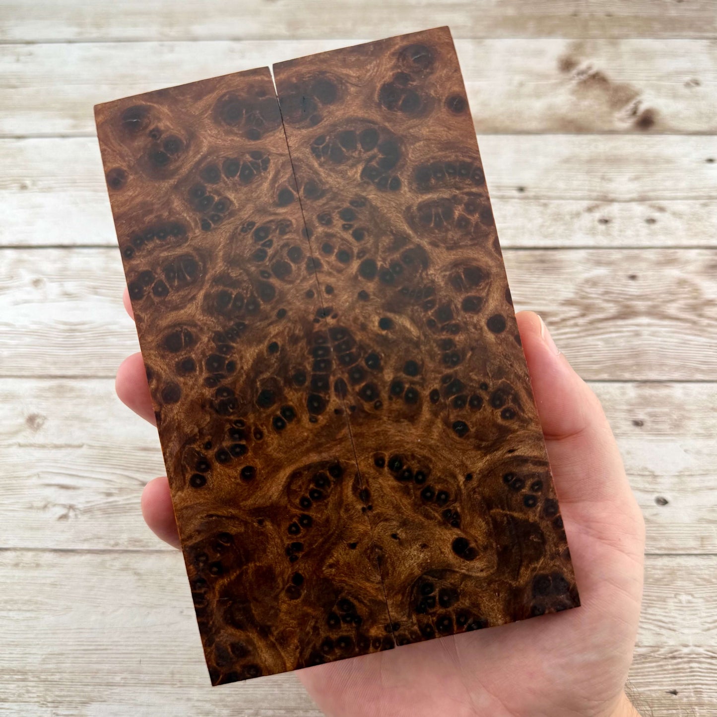 Redwood Burl Scales (K&G Stabilized) - REB78