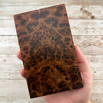 Redwood Burl Scales (K&G Stabilized) - REB78