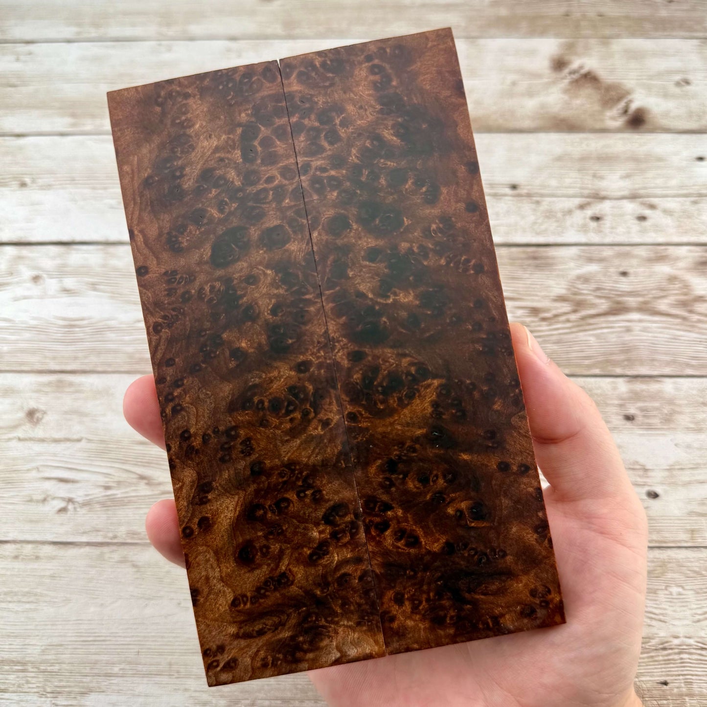 Redwood Burl Scales (K&G Stabilized) - REB82