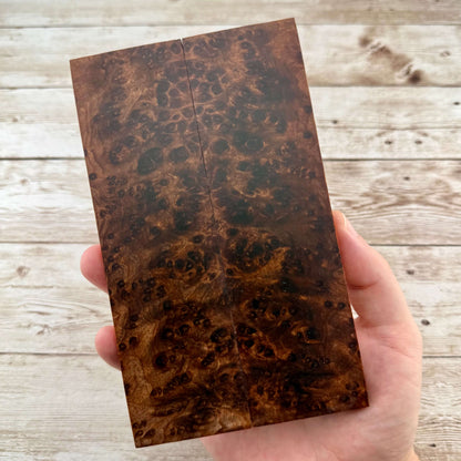 Redwood Burl Scales (K&G Stabilized) - REB82