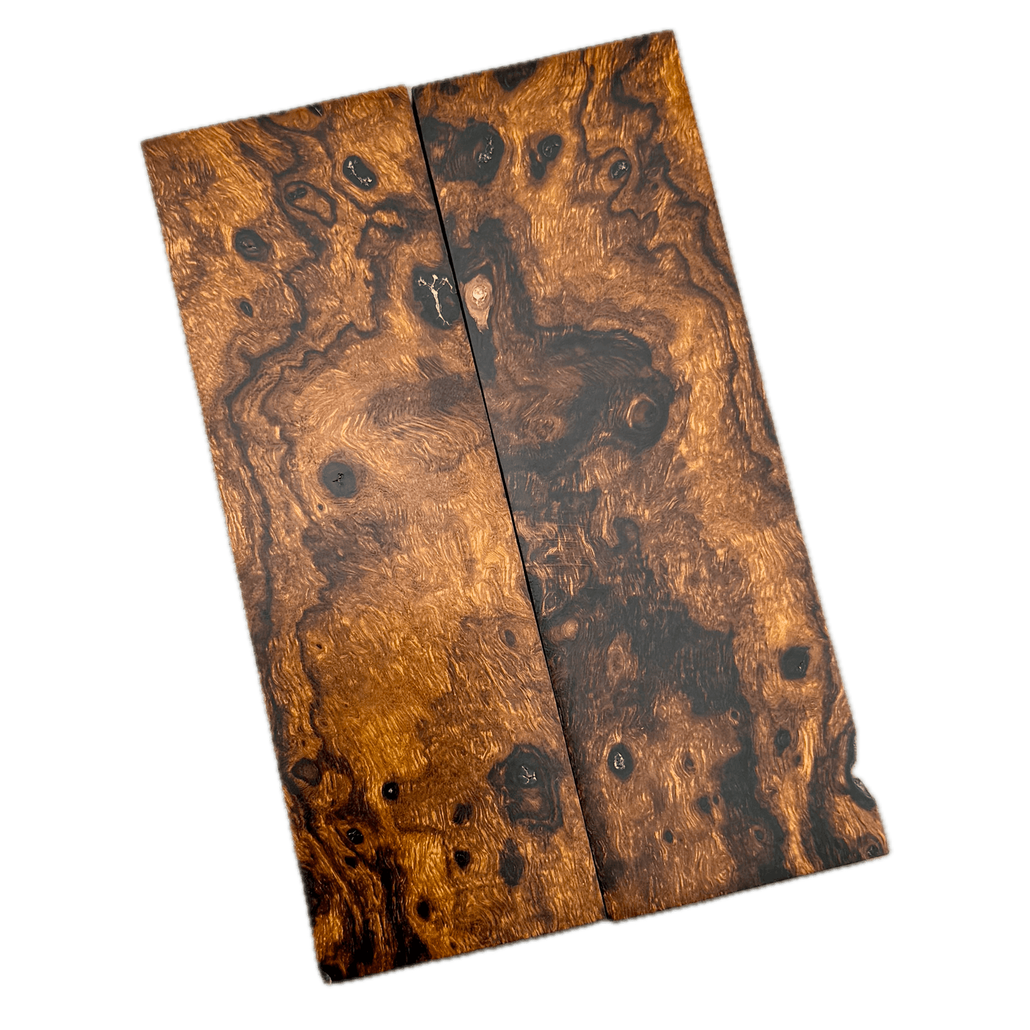 Desert Ironwood Burl Scales (Natural) - DBS03
