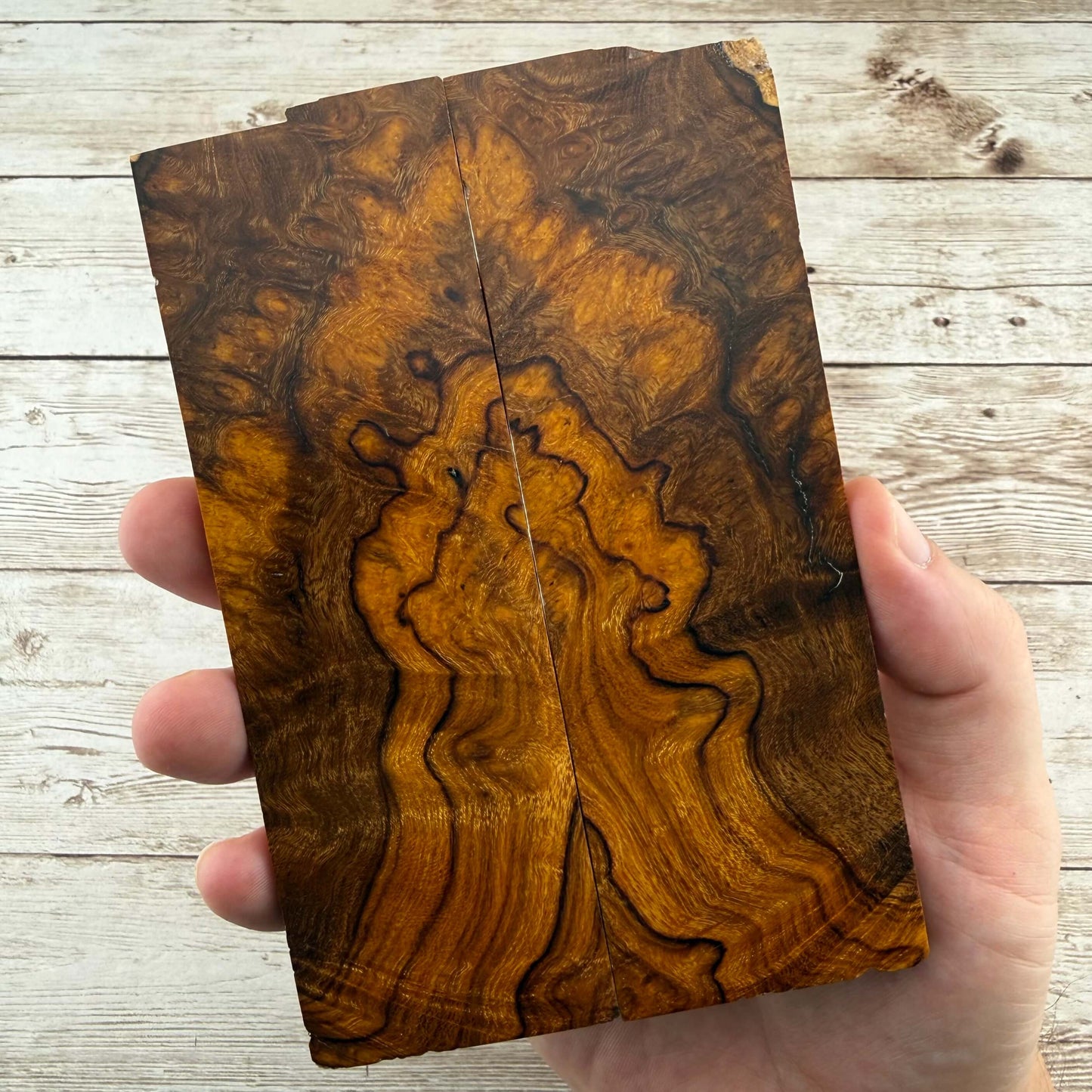 Desert Ironwood Burl Scales (Natural) - DBS01