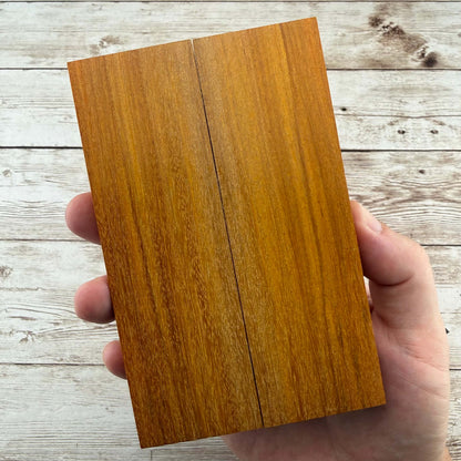 Pernambuco Scales (Natural) - PBS01