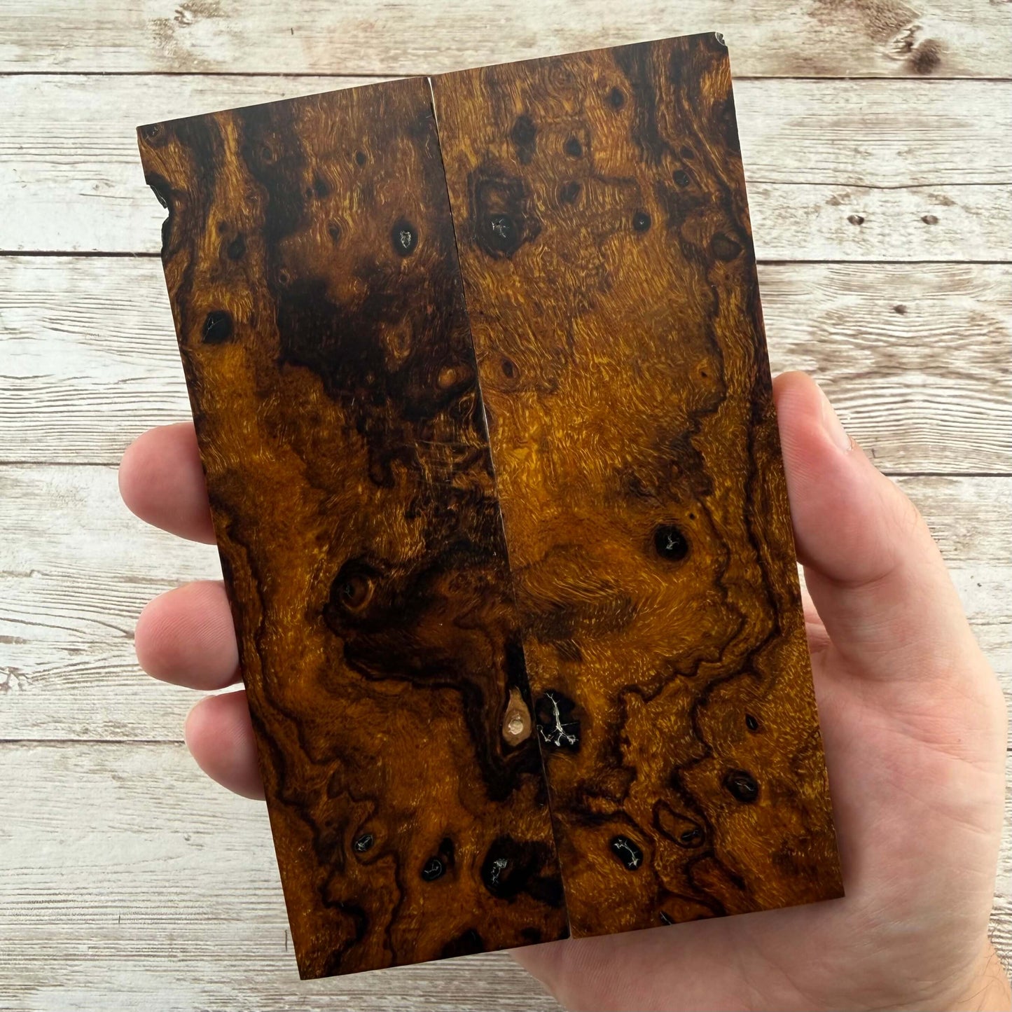 Desert Ironwood Burl Scales (Natural) - DBS03