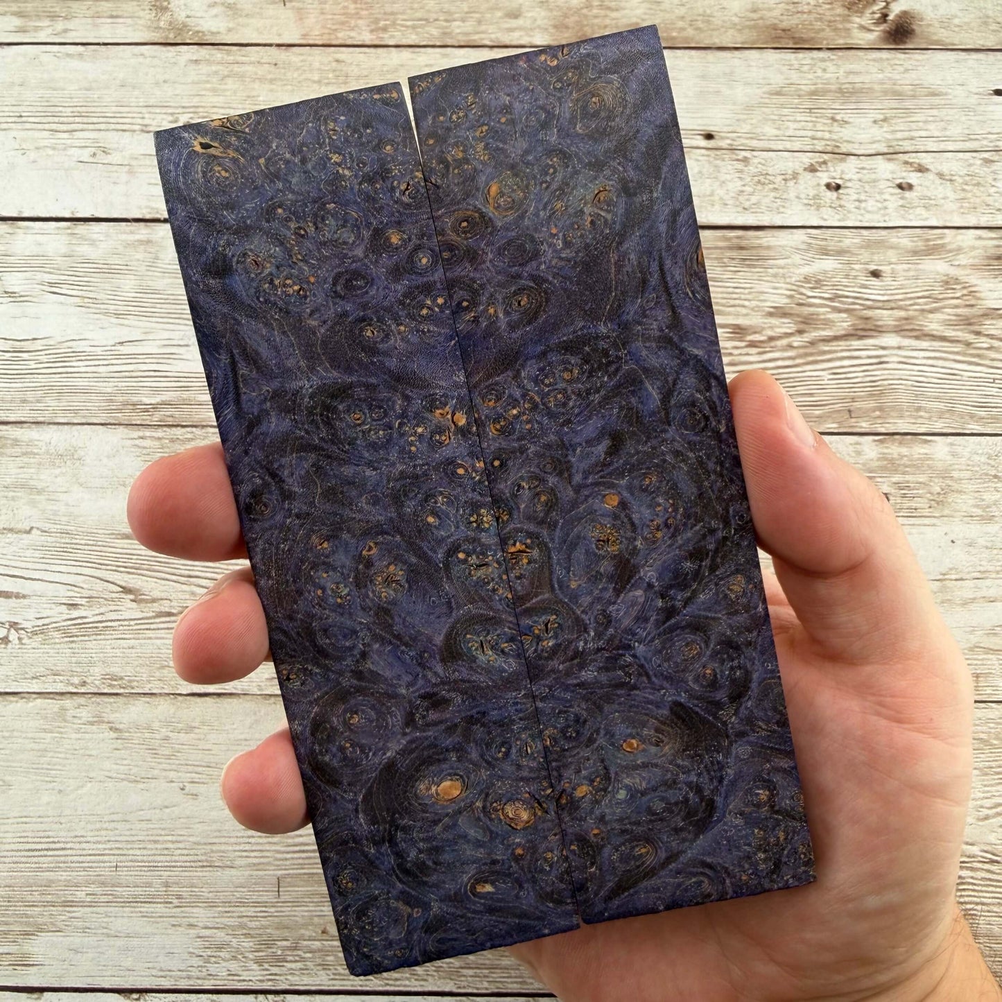 Blue Box Elder Folder Scales (K&G Stabilized) - BE09