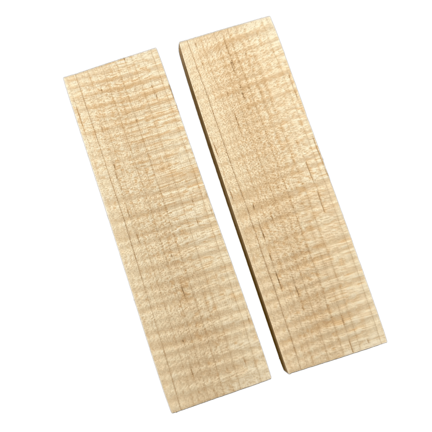 Curly Maple Scales (K&G stabilized) - MCU01