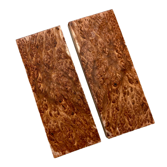 Redwood Burl Scales (K&G stabilized) - REB01