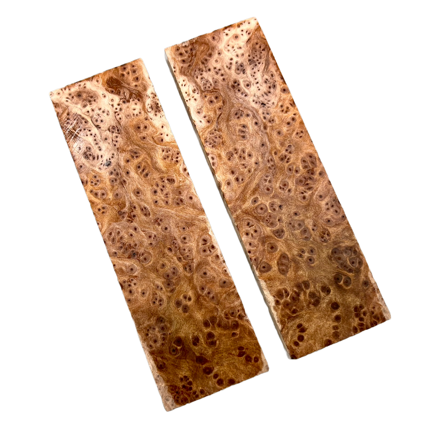 Redwood Burl Scales (K&G stabilized) - REB02