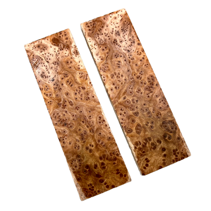 Redwood Burl Scales (K&G stabilized) - REB02