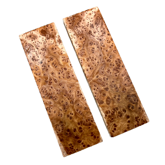 Redwood Burl Scales (K&G stabilized) - REB02