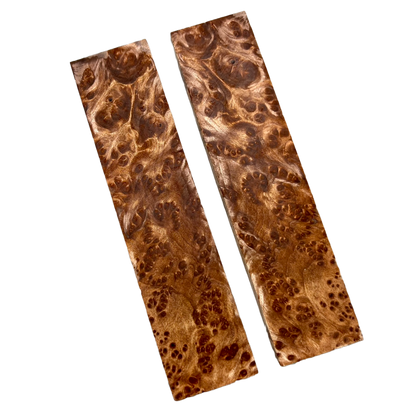 Redwood Burl Scales (K&G stabilized) - REB03