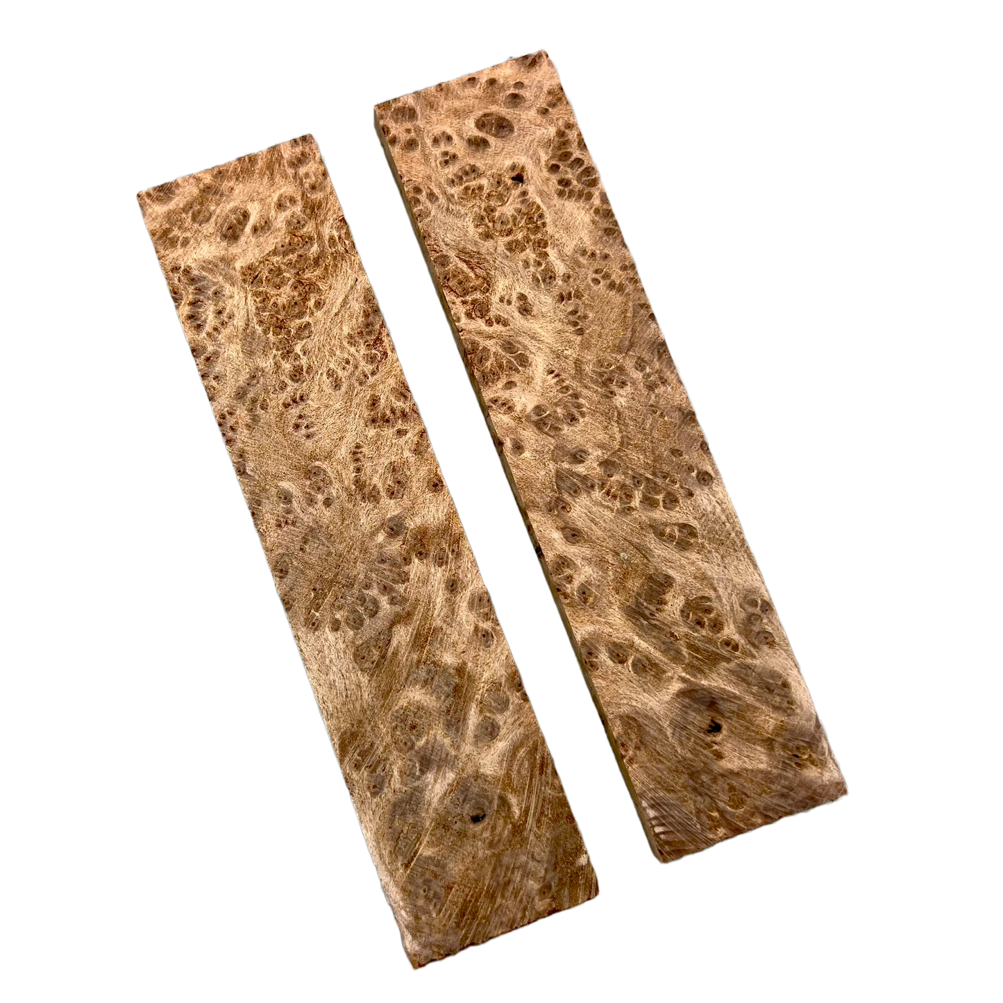 Redwood Burl Scales (K&G stabilized) - REB05