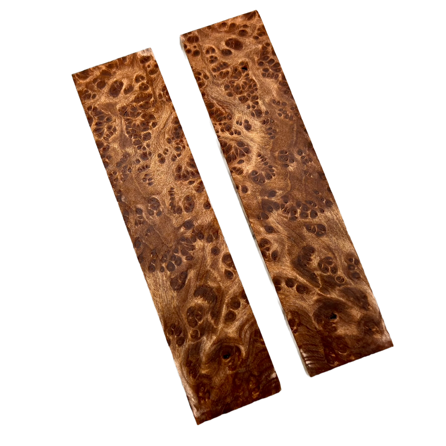 Redwood Burl Scales (K&G stabilized) - REB05