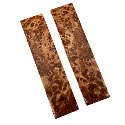 Redwood Burl Scales (K&G stabilized) - REB05